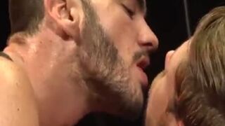 Harnessed belted And Bred