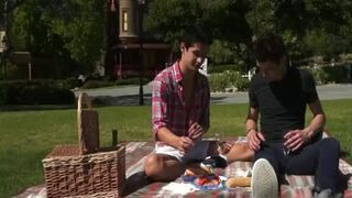 Picnic With The Punch