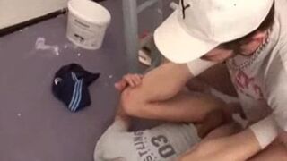 Pet Coast coarse unprotected pulverizing