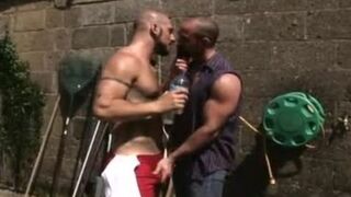 bushy Hunx coarse And Prepped