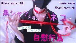 Masturbating "Meow Meow " of a male cat in a black shirt. Collar / Lead / Cosplay / Slender