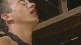 Falcon Studios: Yeehaw! Y'all Want Some?